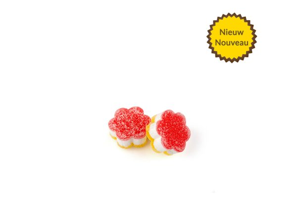 Ambachtelijke Gommetjes Bloem